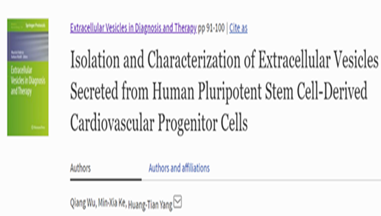 Researchers Develop Protocol for Efficient Isolation and Characterization of Extracellular Vesicles Secreted from Human Pluripotent Stem Cell-derived Cardiovascular Progenitor Cells