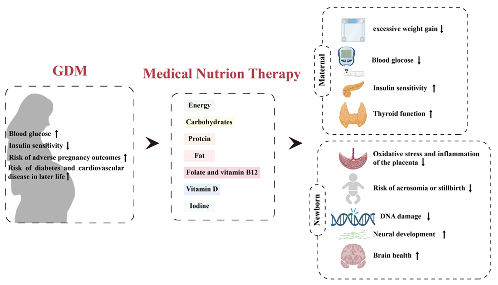 A Perspective on Medical Nutrition Therapy in Gestational Diabetes Mellitus